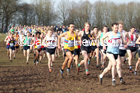 Senior men, 2020 British Athletics Inter Counties Cross Country Champs., Prestwold Hall, Loughborough. Photo: David T. Hewitson/Sports for All Pics